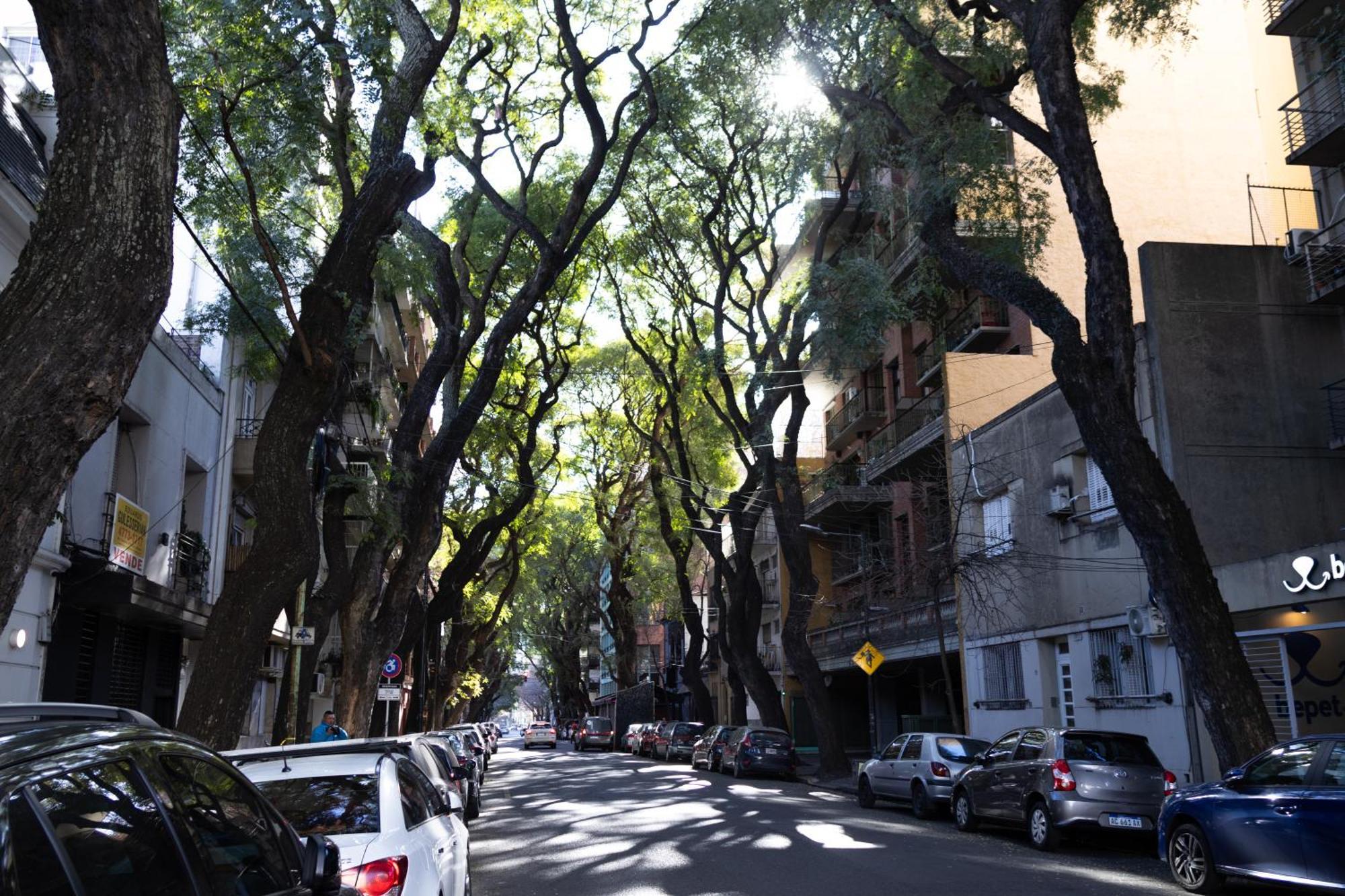 Palermo Soho G4827 - Departamentos Modernos, Amplios Y Luminosos Apartment Buenos Aires Exterior photo