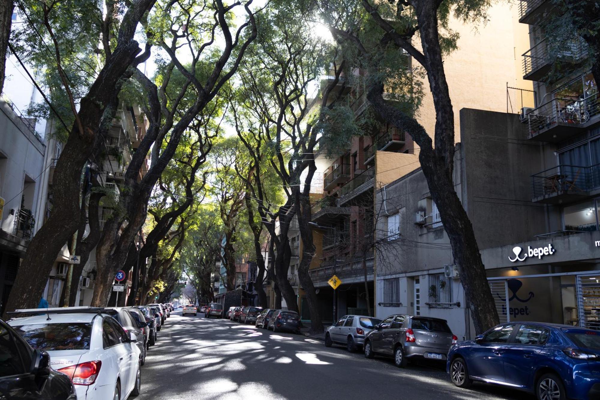 Palermo Soho G4827 - Departamentos Modernos, Amplios Y Luminosos Apartment Buenos Aires Exterior photo