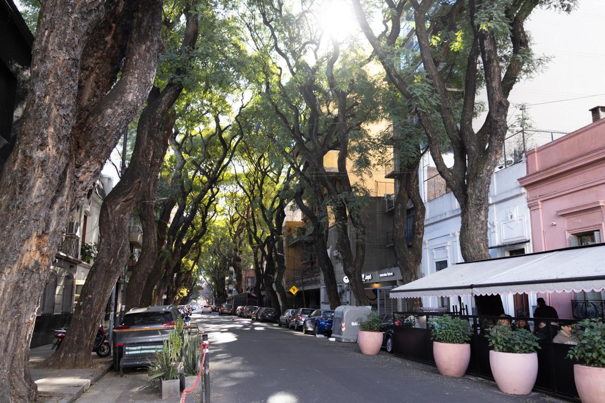 Palermo Soho G4827 - Departamentos Modernos, Amplios Y Luminosos Apartment Buenos Aires Exterior photo